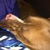 ayden_crandall